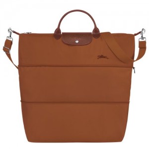 Dámské Cestovní Tašky Longchamp Le Pliage Green expandable Recycled canvas Cognac | CZ QM8268
