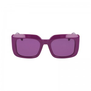 Dámské Sluneční Brýle Longchamp Acetate Violet | CZ LI7923