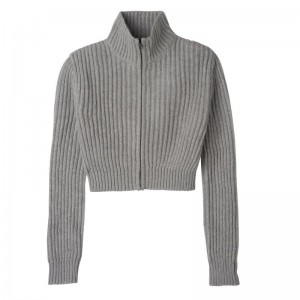 Dámské Svetr Longchamp Zip collar short cardigan Knit Šedé | CZ PJ7810