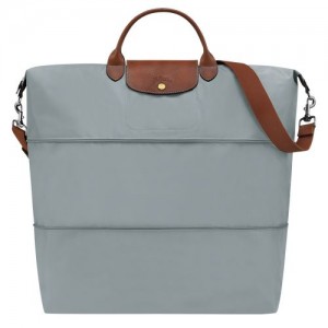 Pánské Cestovní Tašky Longchamp Le Pliage Original expandable Recycled canvas Steel | CZ MQ7202