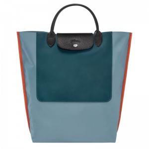 Pánské Kabelka Longchamp Cabas M Tote Canvas Blankyt | CZ FD7475